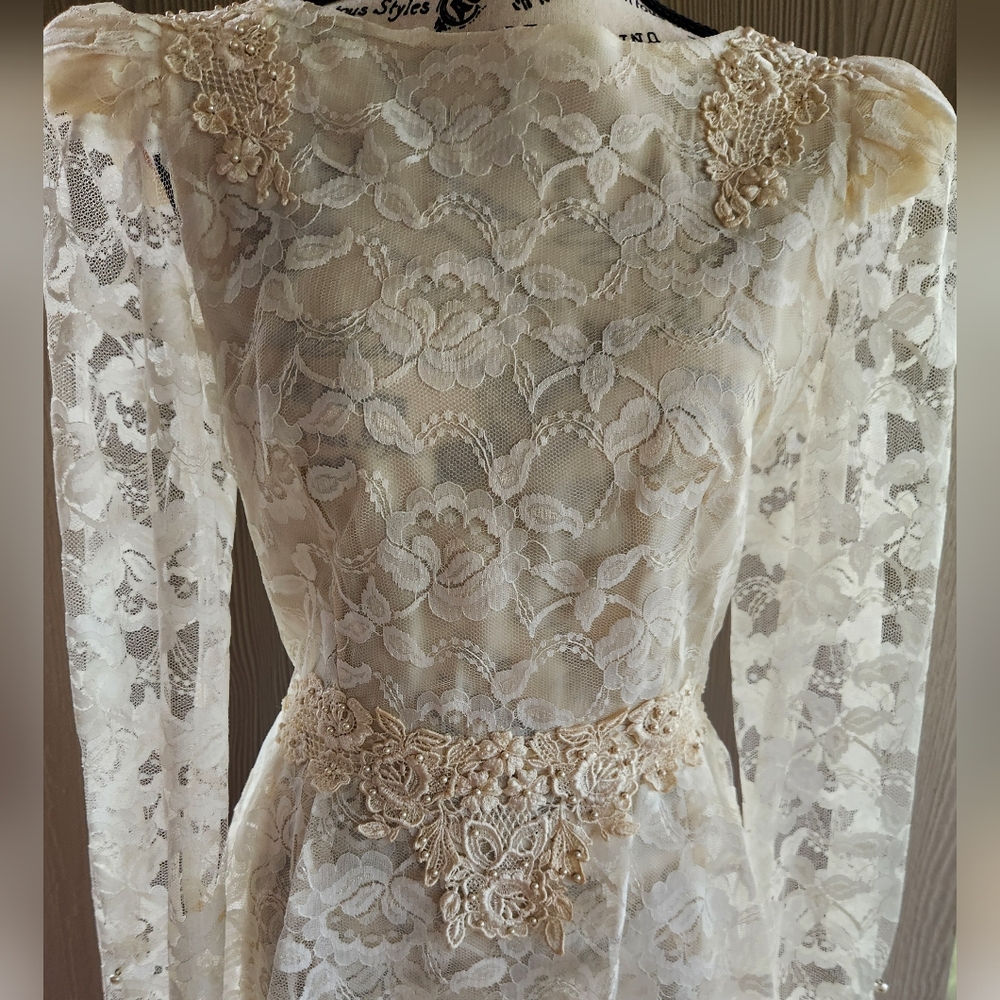 Cachet by Bari Protas Bridal Gown